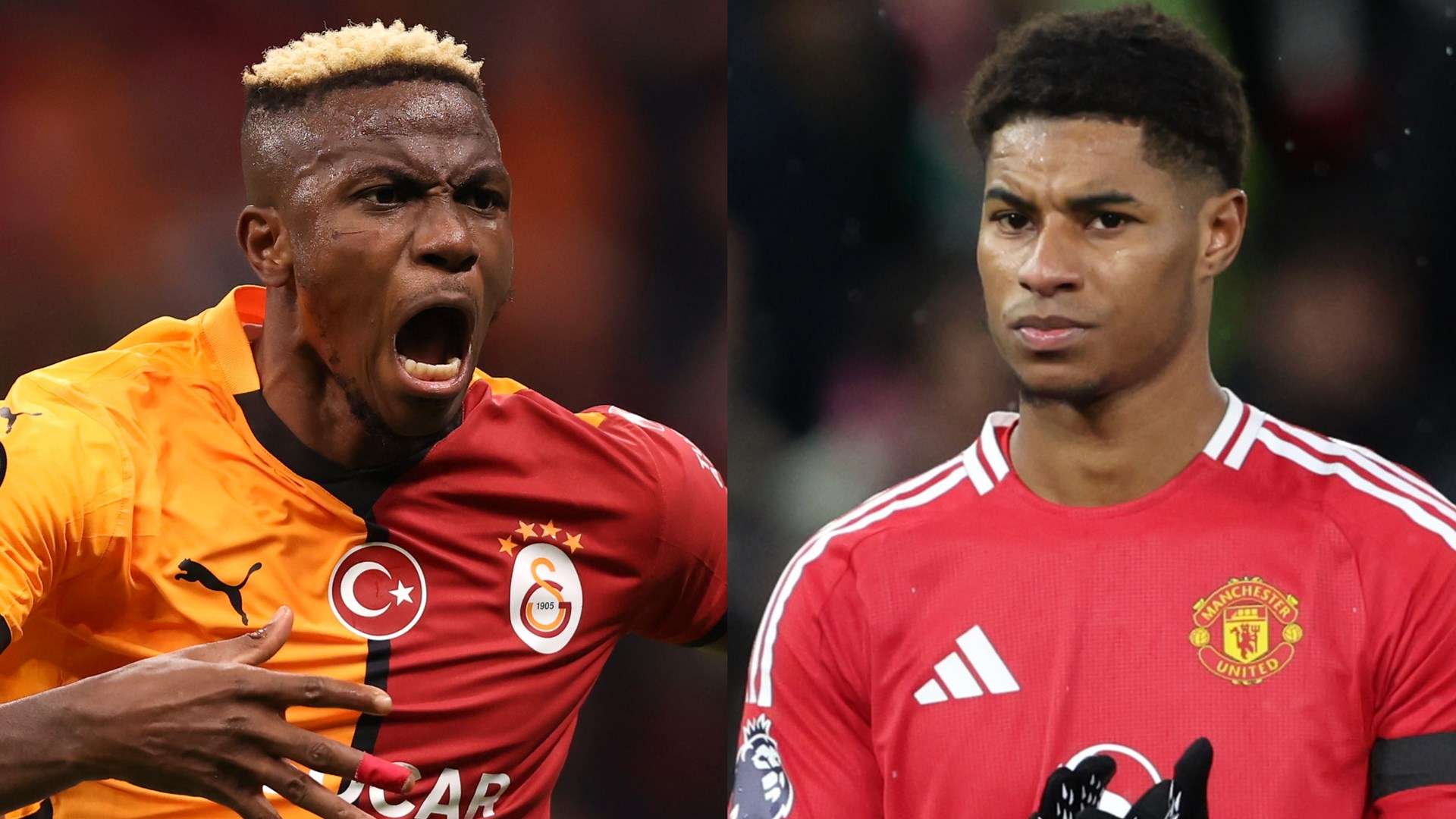 漓尽致地展 漓尽致地展