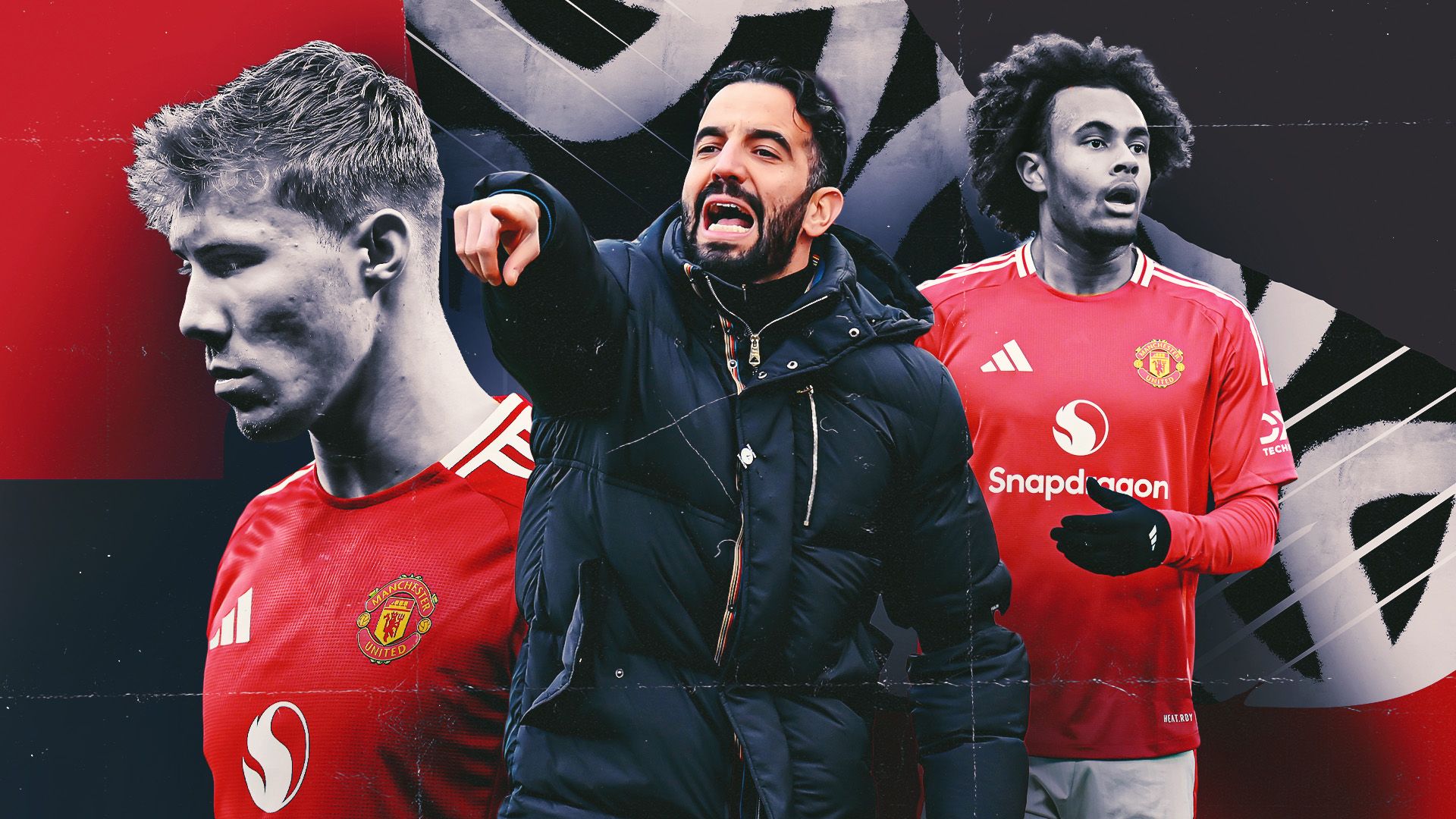 参与国际培 参与国际培